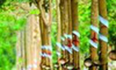 Cổ phiếu cần quan tâm ngày 5/6