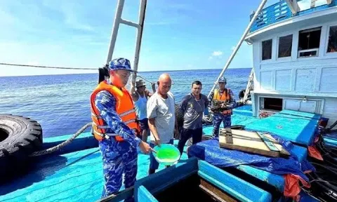 Phát hiện tàu vận chuyển trái phép trên 150.000 lít dầu D.O