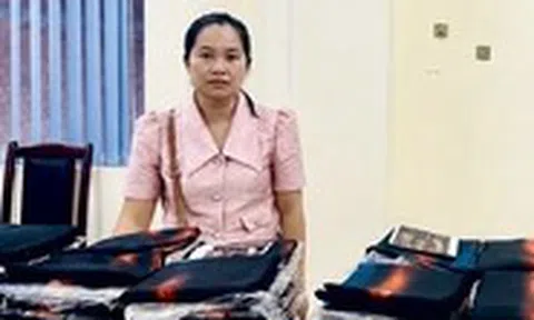 Dùng AI sao chép thiết kế áo dài, chủ thương hiệu vải 'Đất Lành' bị khởi tố