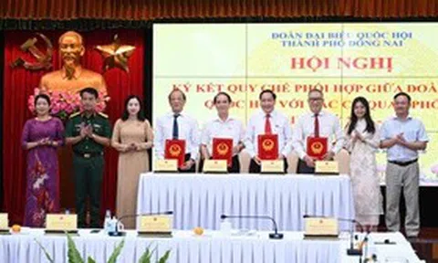 Hội Luật gia Đồng Nai phát huy vai trò cầu nối pháp lý, góp phần nâng cao hiệu quả tiếp công dân và xử lý đơn thư
