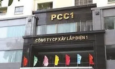 Chủ tịch Trịnh Văn Tuấn bị bắt, PC1 lùi thời gian chốt quyền dự họp ĐHCĐ bất thường sau khi đón cổ đông lớn mới