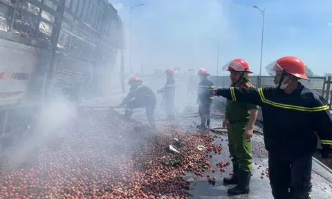 Đang chạy trên cao tốc Bắc Nam, xe tải chở 10 tấn mận bốc cháy