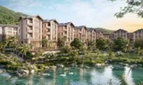 Giới kinh doanh miền Trung săn tìm song lập Bạch Vân đón sóng FTZ và siêu cảng Liên Chiểu