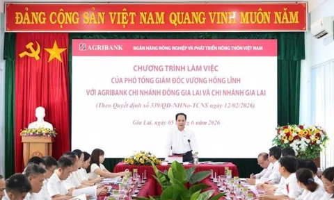 Agribank tập trung các giải pháp thúc đẩy tăng trưởng kinh doanh, nâng cao chất lượng hoạt động tại Gia Lai