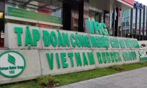 Nhiều 'đại bàng' Việt không đáp ứng điều kiện công ty đại chúng