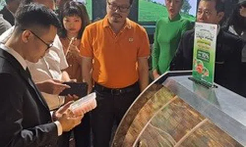 "Heo ăn chay" BAF Việt Nam bị phạt hơn 800 triệu đồng