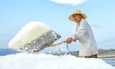 Diêm dân 'cõng nắng' mưu sinh trên cánh đồng muối cuối cùng dưới chân đèo Ngang
