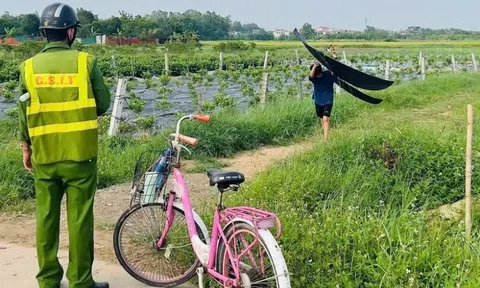 Máy bay phải chuyển hướng hạ cánh vì diều sáo gắn đèn