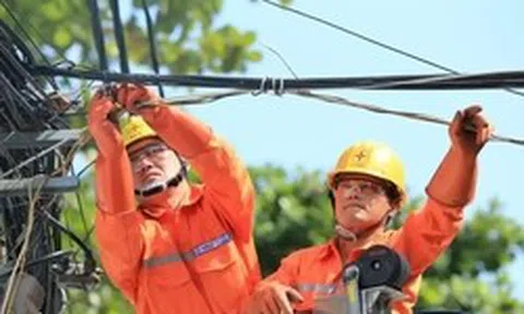 Chuyên gia, EVN nói về lợi nhuận tiền gửi