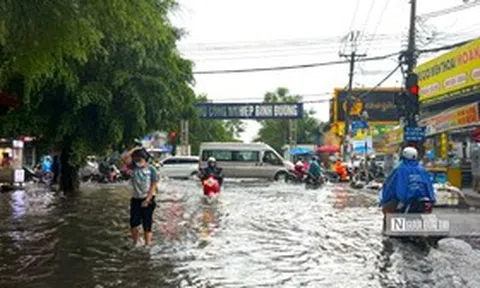 Đường An Bình sắp "lột xác" để kết nối đầu mối logistics lớn của Tp.HCM