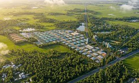 Đề xuất triển khai dự án khí hậu chưa từng có 9,8 triệu USD ở "thủ phủ cà phê" của Việt Nam