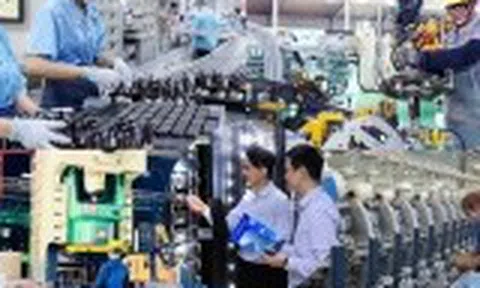 Thúc đẩy doanh nghiệp ứng dụng nền tảng số phục vụ quản trị, sản xuất, kinh doanh