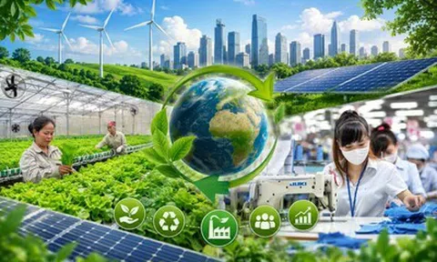 Chính phủ đặt mục tiêu hỗ trợ 25.000 doanh nghiệp, hộ kinh doanh, hợp tác xã kinh doanh bền vững