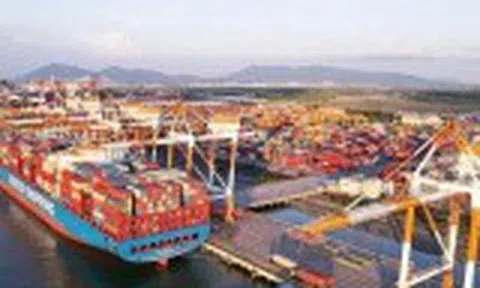 Hai cảng biển Việt Nam vào top đầu thế giới, vượt nhiều cường quốc hàng hải