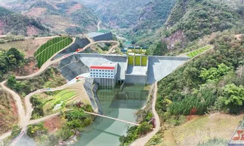 Sông Đà 505: Lãi tăng hơn 129%, dòng tiền chằng chịt trong hệ sinh thái doanh nghiệp