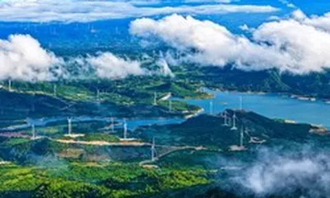 Thanh tra phát hiện loạt sai phạm tại 14 dự án điện gió