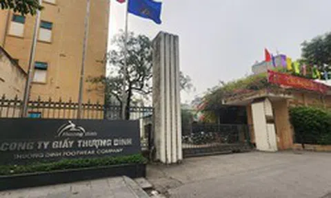Vinaconex hoàn tất sở hữu hơn 24% vốn tại Giầy Thượng Đình