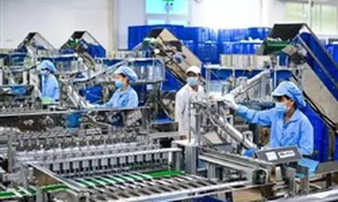 Thu hút vốn FDI: Không thể chỉ trông chờ 'đại bàng' đến làm tổ