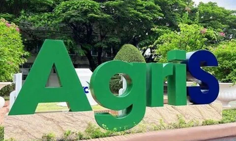 Bà Đặng Huỳnh Ức My nâng sở hữu tại TTC AgriS lên gần 12% vốn