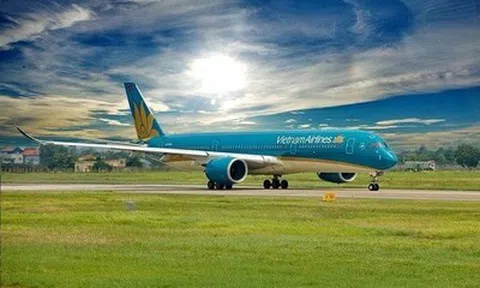 Vietnam Airlines: Cổ phiếu "tím lịm" 2 phiên liên tiếp, lỗ lũy kế giảm còn hơn 22.300 tỷ đồng