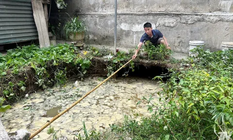 Xuất hiện hố tử thần sâu hơn 4 m sát nhà, sơ tán khẩn 2 hộ dân