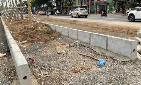 Trồng cây xanh trên nền đá base dải phân cách đường, chủ đầu tư nói gì?