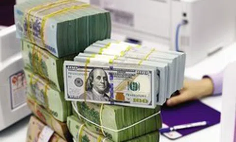 Vì sao tỷ giá USD ổn định dù Việt Nam nhập siêu gần 14 tỷ USD?