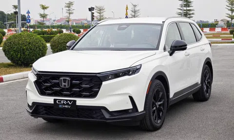Honda làm rõ khả năng tương thích xăng E10 của xe đang bán ở Việt Nam