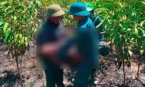 Phát hiện 2 vợ chồng tử vong trong khu vực cháy rừng