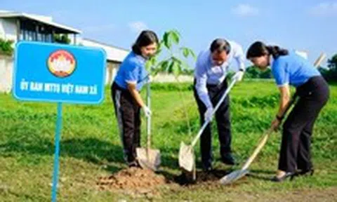 Củ Chi ra quân trồng 400 cây xanh, hưởng ứng phong trào 'Thành phố muôn sắc hoa'
