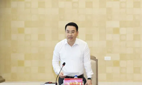 Chủ tịch UBND Nguyễn Tuấn Anh: Lào Cai không chỉ cạnh tranh bằng tiềm năng