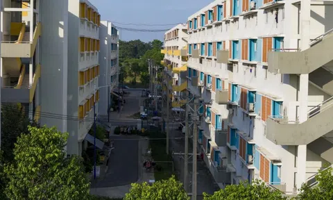 Thủ tướng giao các tỉnh thành chuẩn bị quỹ đất sạch làm nhà ở cho thuê