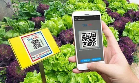 Minh bạch chuỗi cung ứng vào giai đoạn quyết định