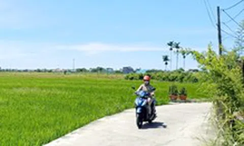 Thanh tra kiến nghị Đà Nẵng làm gì với dự án khu đô thị Phong Nam - Hòa Châu?
