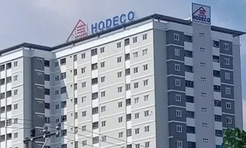 Hodeco bị xử phạt 242,5 triệu đồng: Lợi nhuận tăng hơn 4 lần, tiền mặt giảm tới 94%