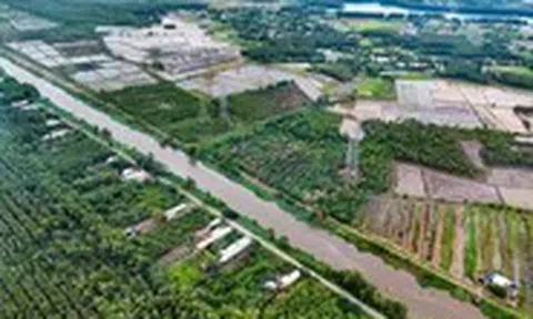 Tin tức sáng 25-6: Bảy khu nông nghiệp công nghệ cao của TP.HCM nằm ở đâu?
