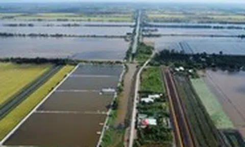 Làm đường kết nối cao tốc vào vùng Đồng Tháp Mười