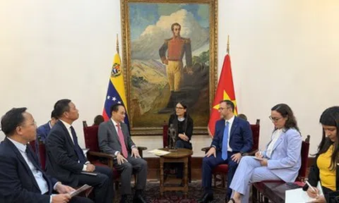Việt Nam nhất quán ủng hộ Chính phủ hợp hiến của Venezuela