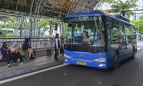 Cận cảnh dàn xe buýt tiện nghi, hiện đại trước ngày TP.HCM miễn phí vé cho người dân
