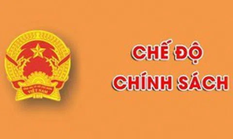 Đề xuất người đang hưởng trợ cấp hưu trí xã hội không thuộc diện tham gia BHXH bắt buộc, BHXH tự nguyện
