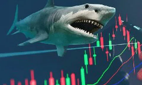 Cá mập quy mô 26.000 tỷ đồng bất ngờ "xuống tiền" gom trở lại một cổ phiếu chứng khoán Việt Nam