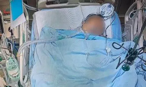 Đang cho gà ăn, người đàn ông bị con vật "đáng sợ" tấn công, diễn biến sau đó rùng mình