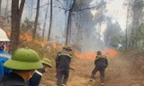 Thanh Hóa: Huy động gần 100 cán bộ, chiến sĩ chữa cháy rừng tại phường Hải Bình
