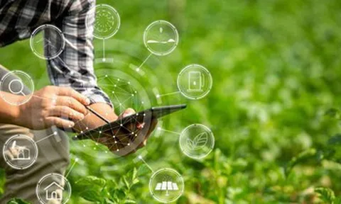 Dữ liệu rời rạc kéo quản trị suy giảm
