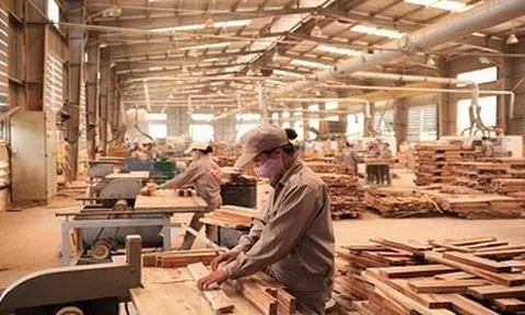 Dữ liệu quyết định đơn hàng ngành gỗ