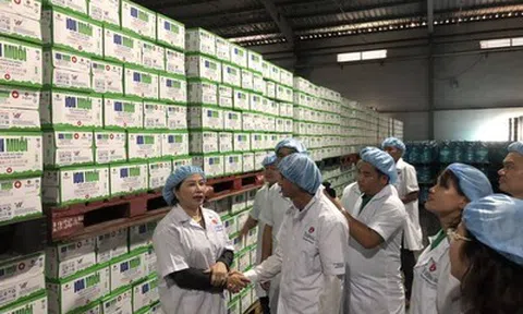 Fujiwa Việt Nam và hành trình xây dựng doanh nghiệp xanh