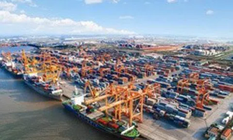 Cảng Đình Vũ sắp họp ĐHĐCĐ bất thường để kiện toàn nhân sự