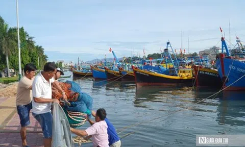Chủ tàu "đỏ mắt" tìm bạn thuyền, nghề biển đối mặt bài toán thiếu lao động