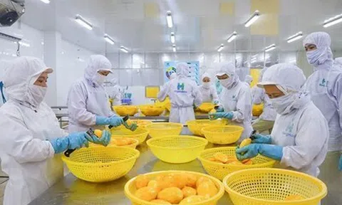 Nông nghiệp Hùng Hậu chuyển nhượng 4,4% vốn tại Thực phẩm Hùng Hậu cho công ty cùng hệ sinh thái