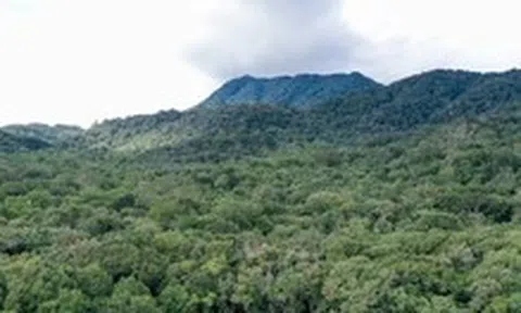 Bộ Nông nghiệp và Môi trường đề xuất tiếp tục quản lý Cúc Phương, Tam Đảo, Bạch Mã và Yok Đôn